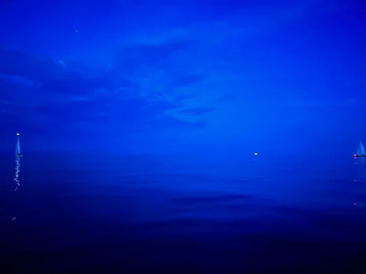 WhatsApp Image 2025 12 29 at 00.16.00